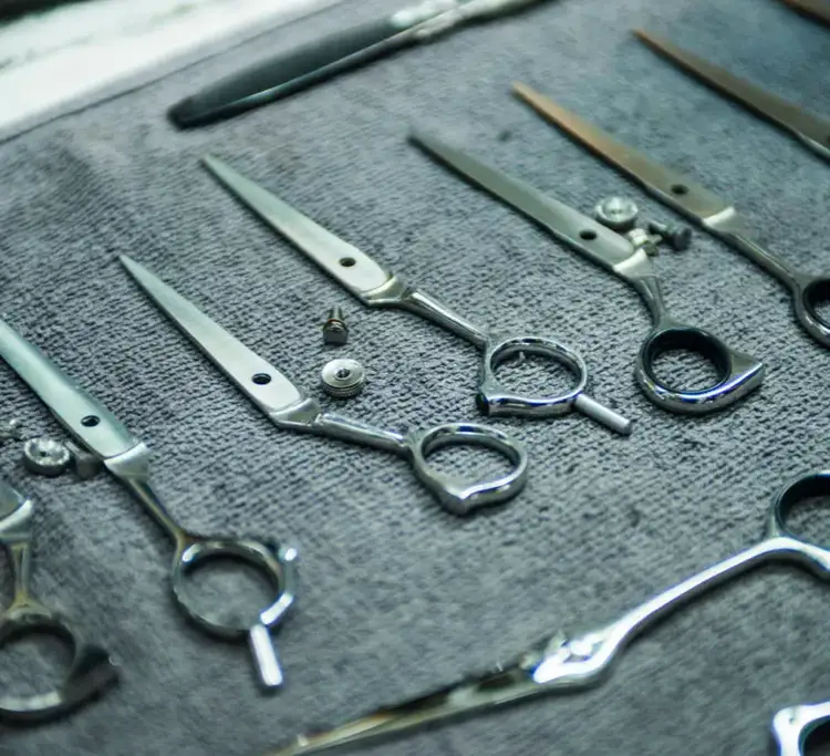 Kasho shears prepared for sharpening